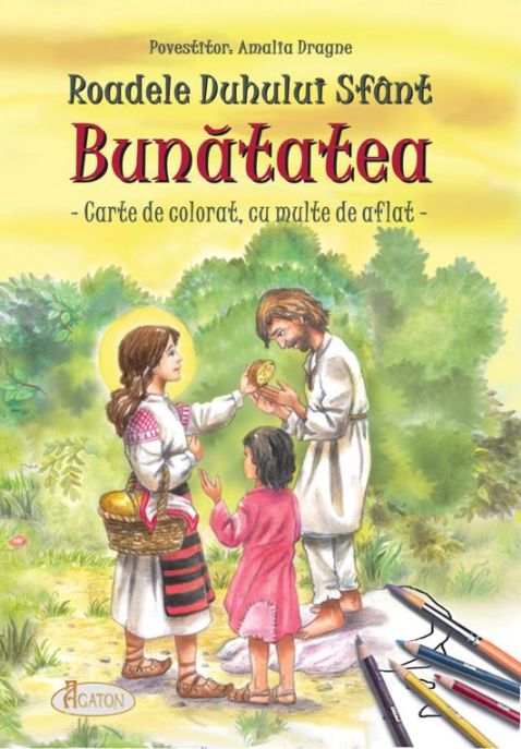Roadele Duhului Sfânt - vol.6. BUNĂTATEA - Amalia Dragne (CARTE)