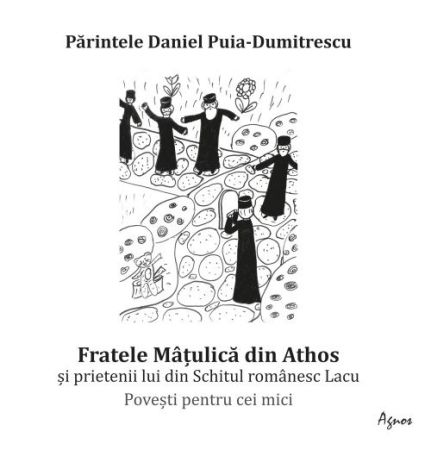 Fratele Matulica din Athos si prietenii lui din Schitul Romanesc Lacu - Puia-Daniel Dumitrescu (CARTE)