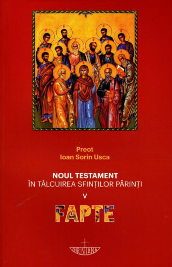 Noul Testament in talcuirea Sfintilor Parinti (V) - Fapte - Pr. Ioan Sorin Usca (CARTE)