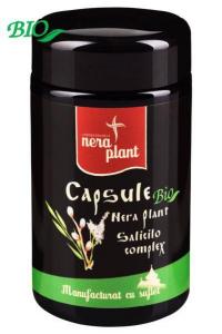 Capsule Salicilo-complex (Aspirină vegetală) BIO (90 capsule)