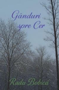 Ganduri spre Cer