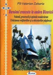 Buruieni crescute la umbra Bisericii